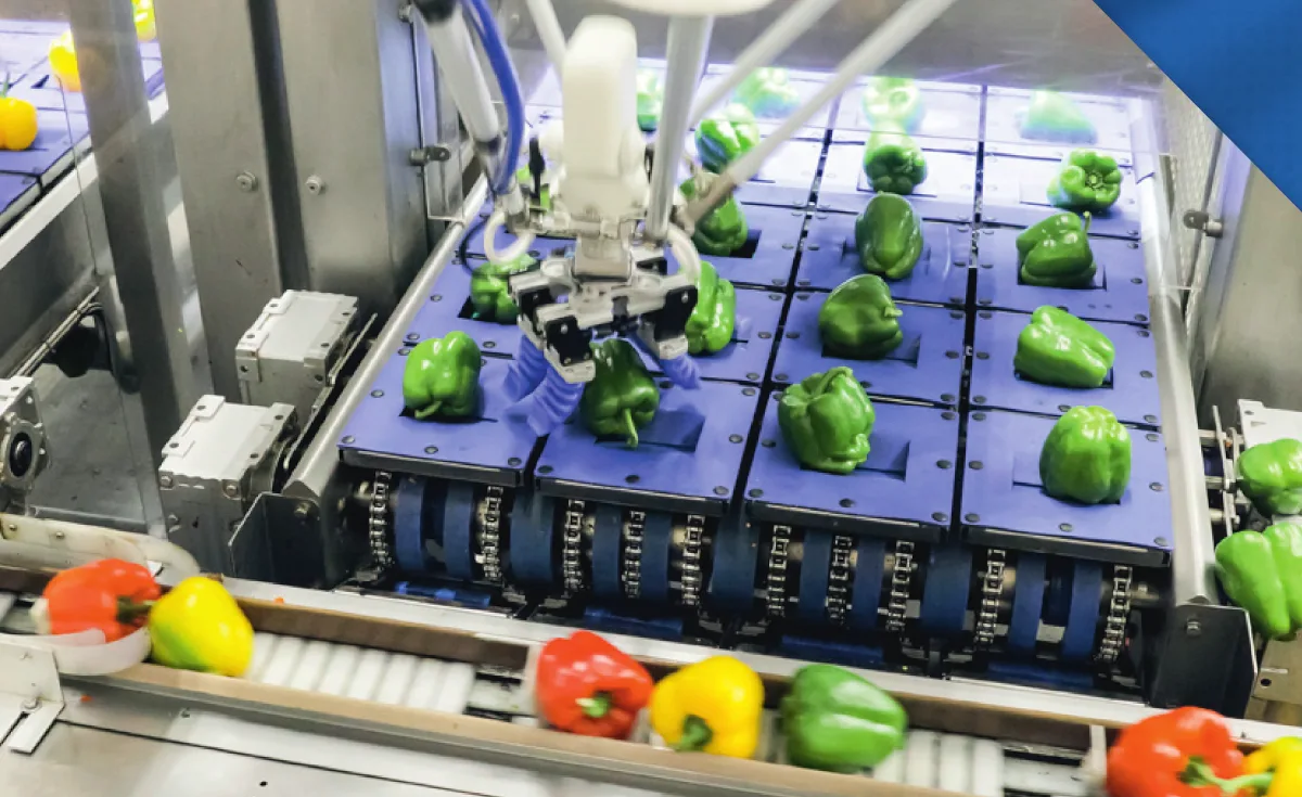 U središtu automatizacije industrije hrane i pića