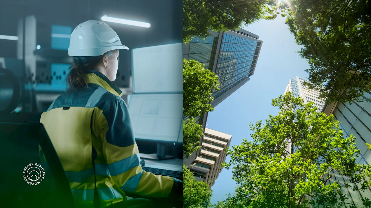 Energetska efikasnost trenutno predstavlja najbolji način za smanjenje troškova i emisija štetnih gasova u industriji