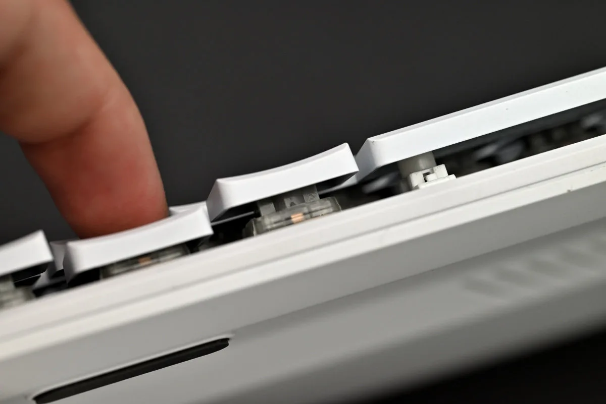 A photo showing a side view of a pressed and an unpressed key, with the click leaves visible.