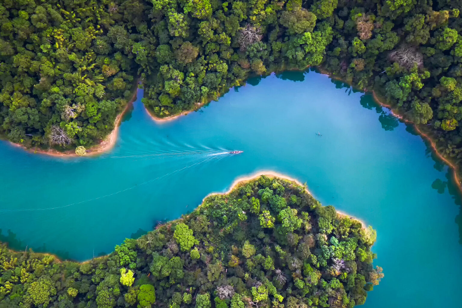 Schneider Electric ocene po ESG učinku - ilustracija koja promoviše ekologiju